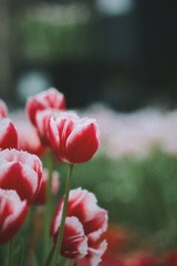 FECB65C8-C44E-437A-87BE-181282BB211D/L0/001