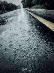 ~~IMG_1592.jpg