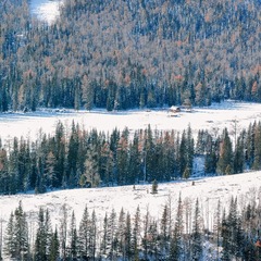 SDIM1327