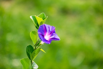 DSC00547-2