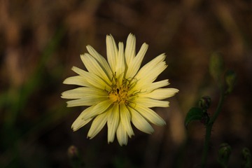 DSC00621-2