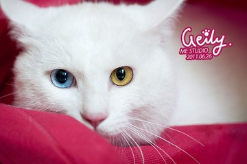 DSC_9783_1.jpg