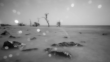 _IGP5391