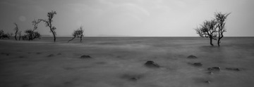 _IGP5395