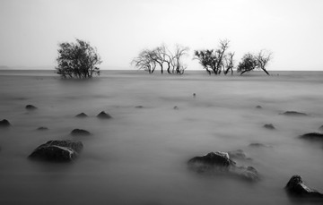 _IGP5425