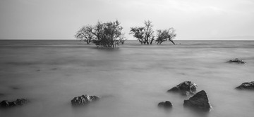 _IGP5430