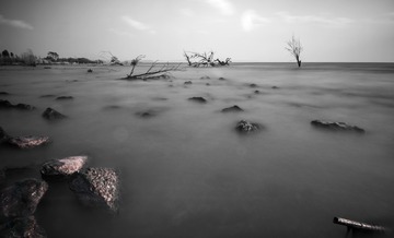 _IGP5436