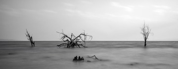 _IGP5439
