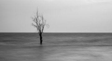 _IGP5442
