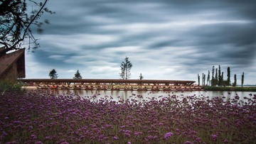 _IGP3633