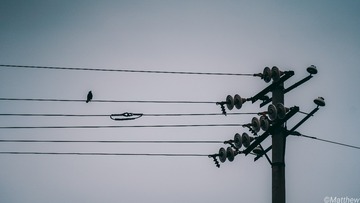 543288