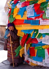 DSC_0077.jpg