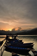 DSC_0697.jpg