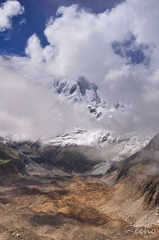 DSC_0772.jpg