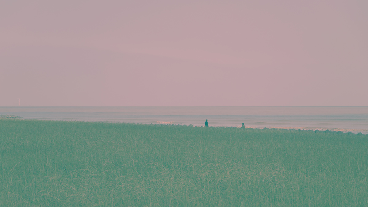 来自夏天的蓝绿色