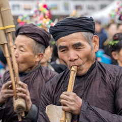 _DSC4383-x