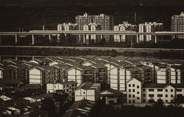 _DSC5082-x