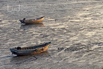 _DSC5326-x