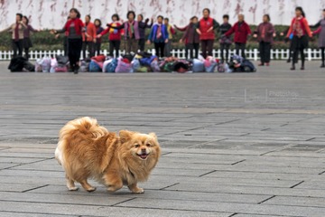 《通场而过》