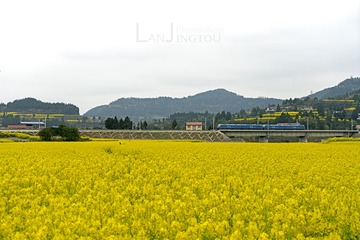 《踏春》