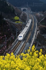 《和谐号CRH2型车》