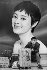 《美丽旅途》