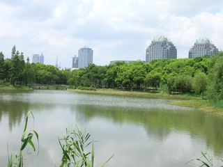沈建仙 树林中的高楼
