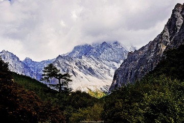 DSC_1905.JPG