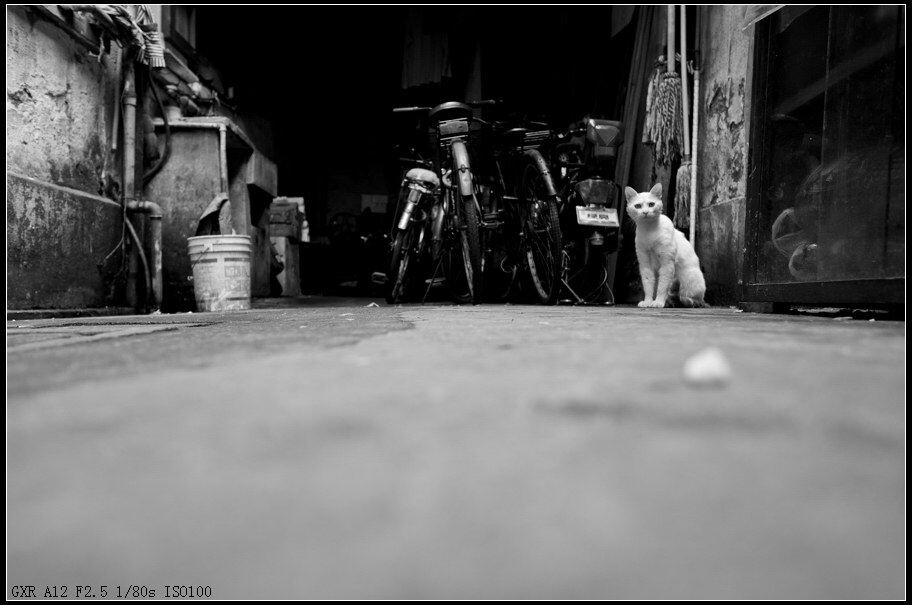 R0016365-2<br />
