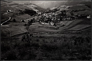_DSC0352-1.jpg