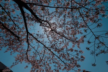 42507CF1-3857-4F1F-80CA-5854FD7E9615/L0/001