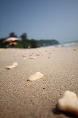 IMG_4791.JPG