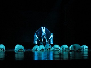 IMG_2062.jpg