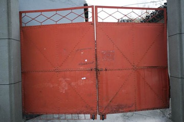WILL6236.jpg