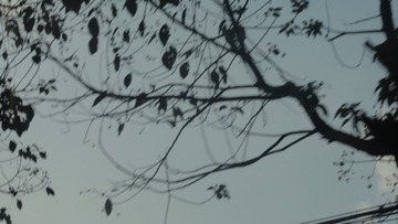 C1D27FF3-06AE-4A5D-AC89-2E9BFC3799EF/L0/001