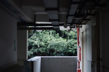 05D04392-6F24-4148-8599-200D9CEFBD35/L0/001