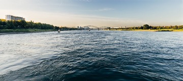 IMG_7639-100