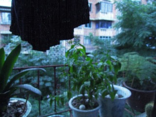 DSCN2115.JPG