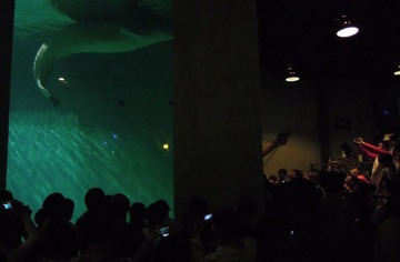 DSCN2594.jpg
