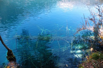 DSCF7884.JPG