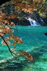 DSCF8162.JPG