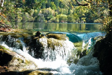DSCF8110.JPG