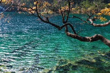 DSCF8195.JPG