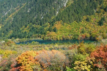 DSCF8059.JPG