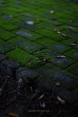 70C31F04-6CB5-4CFF-8C09-4F3E934ED7A7/L0/001