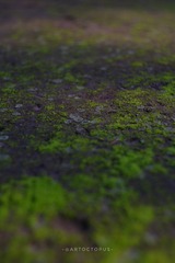 B461CD24-22D8-4F16-B036-18DB2B3EACDF/L0/001