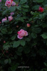 D7CD004D-B036-4350-A55F-A838026FB509/L0/001