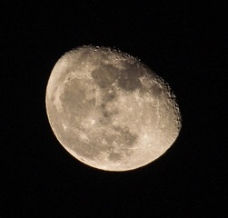 拍星星-9