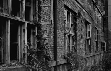 _DSC3447