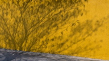 _DSC4899